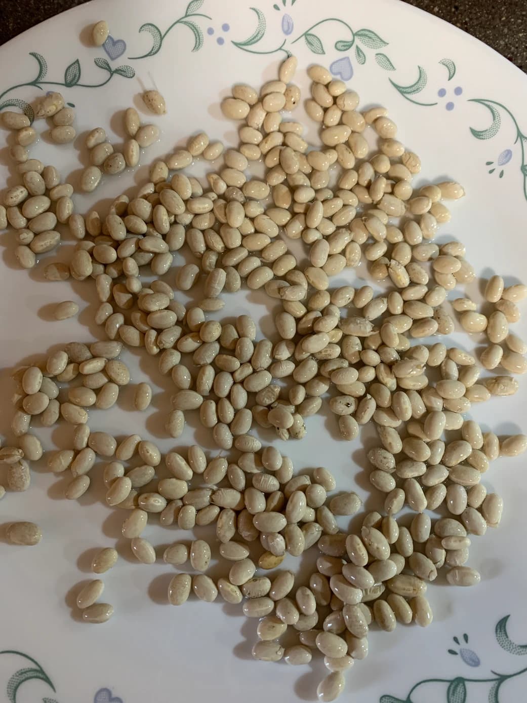 Meal Prep: White Beans