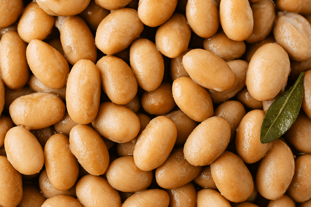 Soaked & Pressure-Cooked Pinto Beans